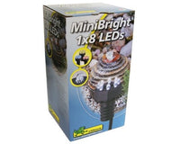 Minilamp waterornament - Minibright 1x8 LEDs