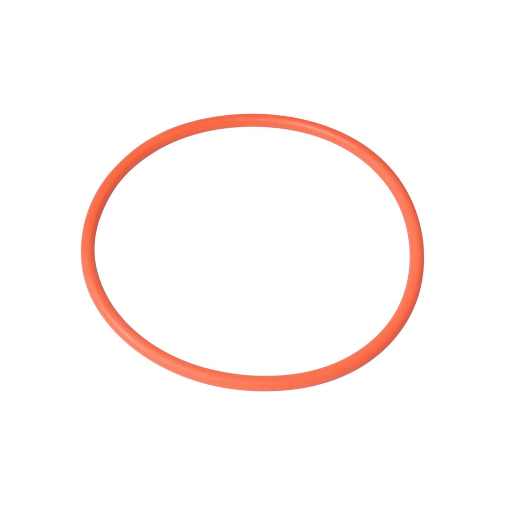 O-Ring SI 114,2 x 5,7 SH70