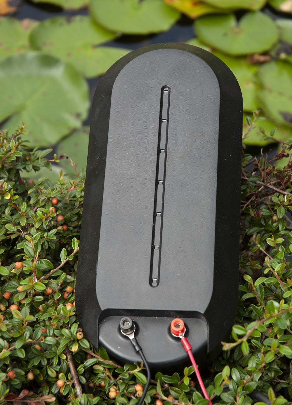 a0be005e7918d0aa36bc3ca8d1db775d