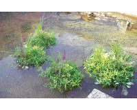 Drijvend planteneiland rond 37cm.
