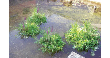 Drijvend planteneiland rond 37cm.
