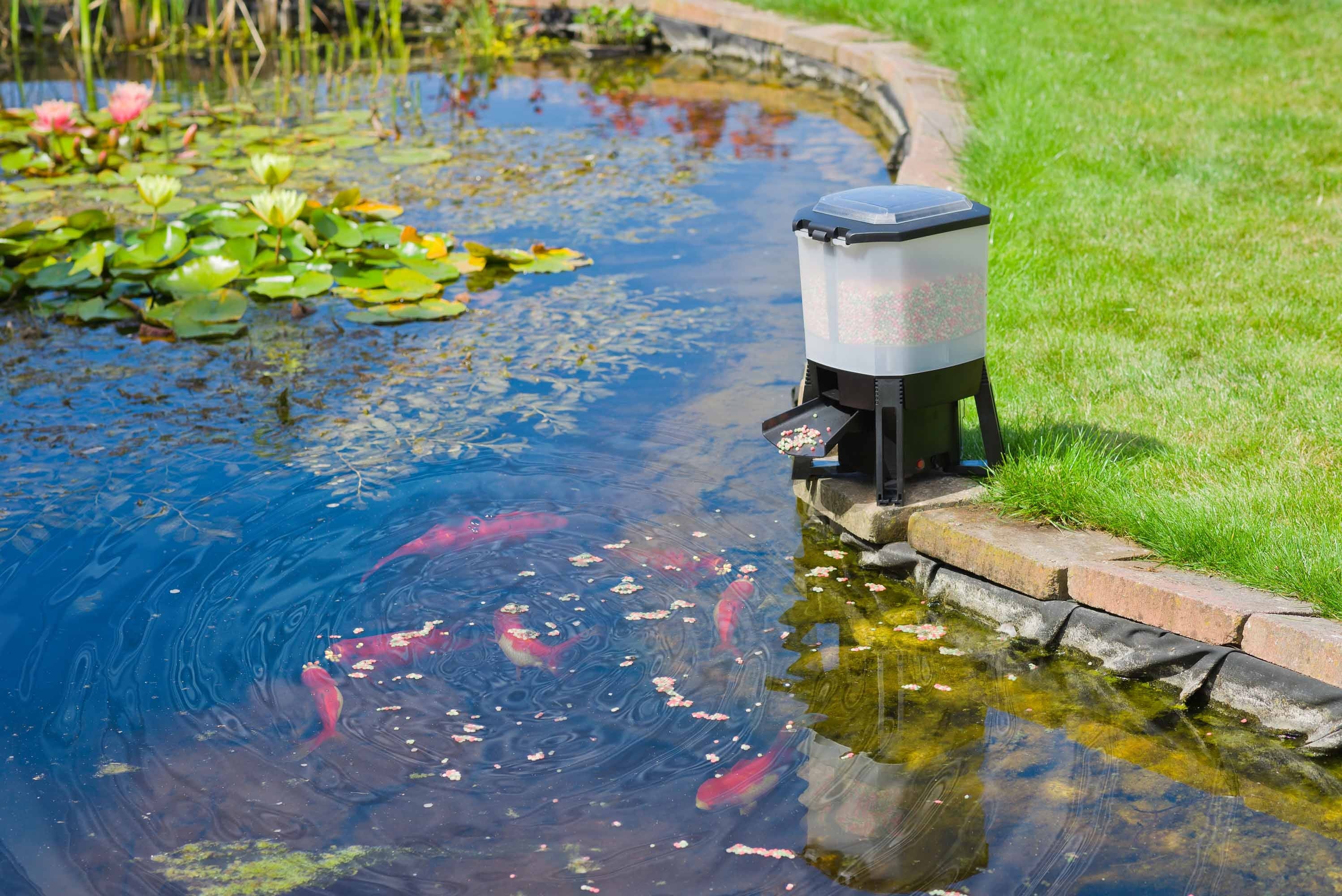 koi_feeder_solar_voerautomaat-2