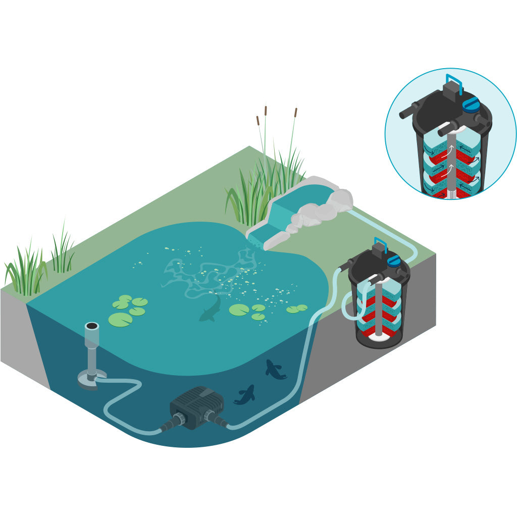oase-filtoclear-schematisch