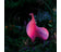 oase-lunaqua-connect-decor