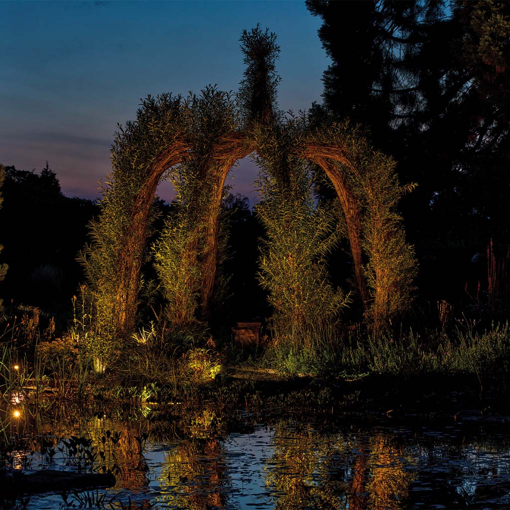 oase-lunaqua-connect-hoge-struik