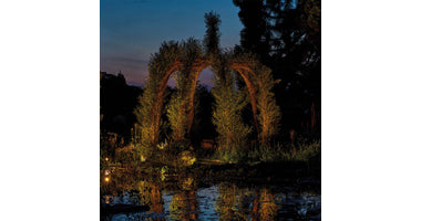 oase-lunaqua-connect-hoge-struik