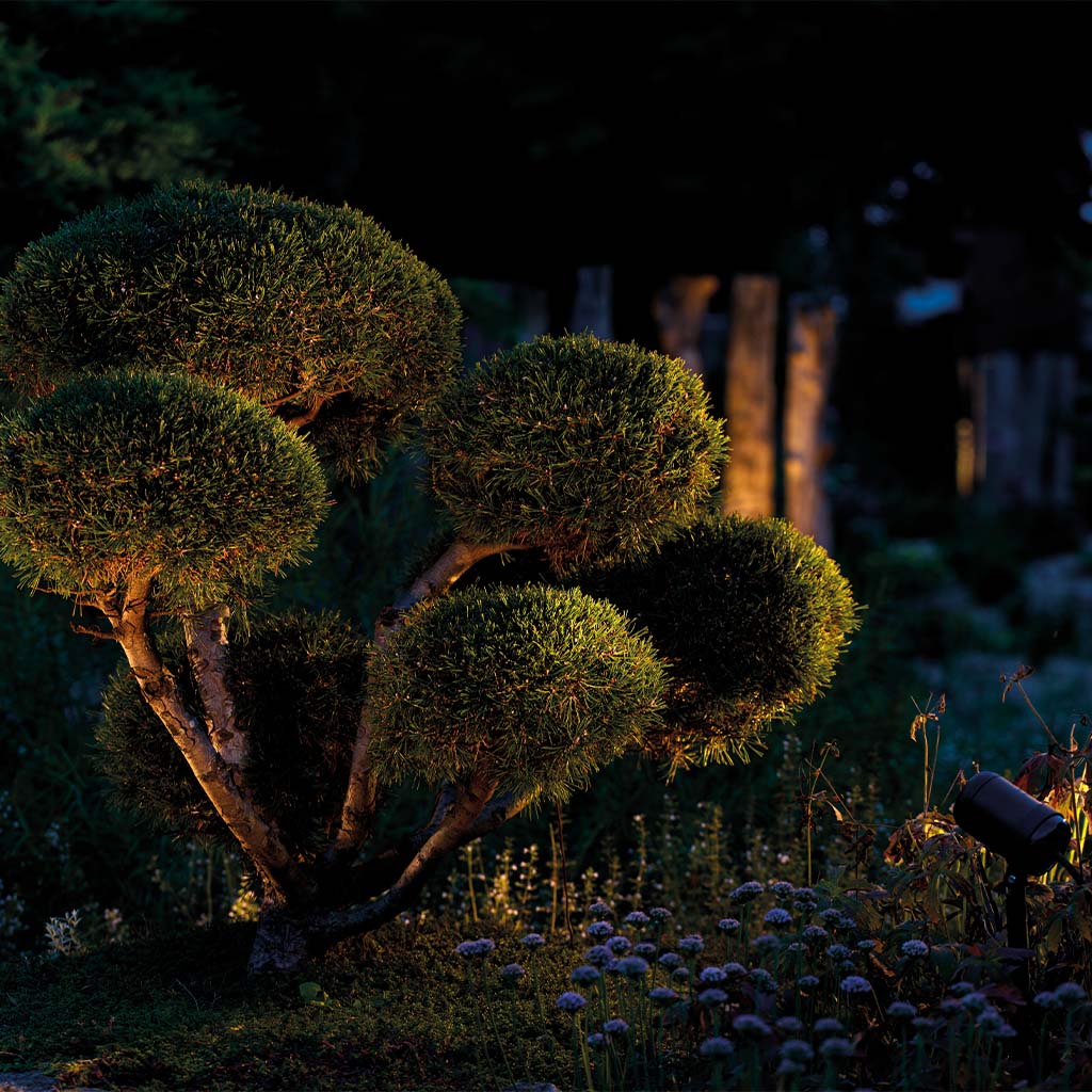 oase-lunaqua-connect-kleine-bomen