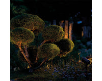 oase-lunaqua-connect-kleine-bomen
