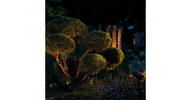 oase-lunaqua-connect-kleine-bomen