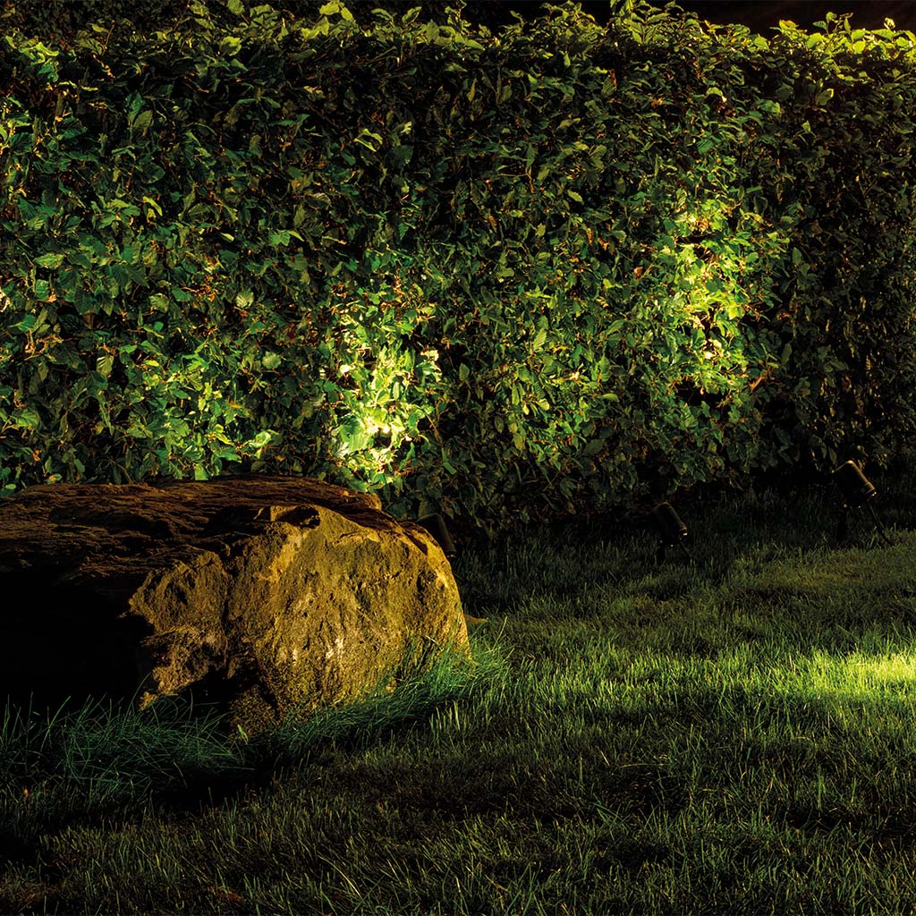 oase-lunaqua-connect-struiken