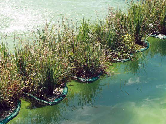 Drijvend planteneiland rond 37cm.