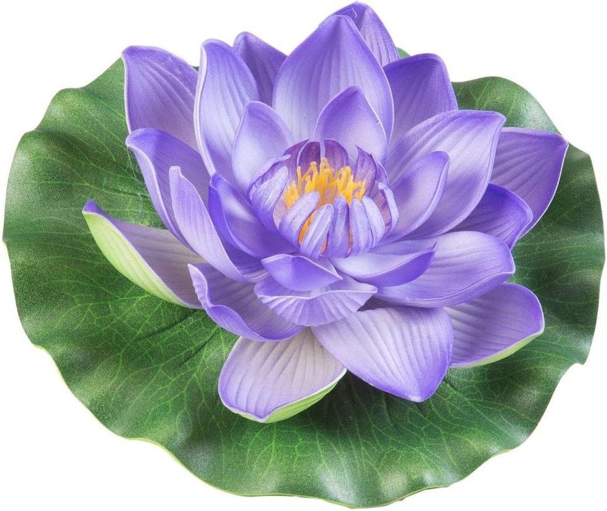 Velda Drijvende Vijverplant Lotus Paars 17 cm