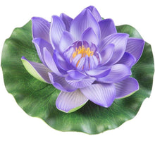 Velda Drijvende Vijverplant Lotus Paars 17 cm