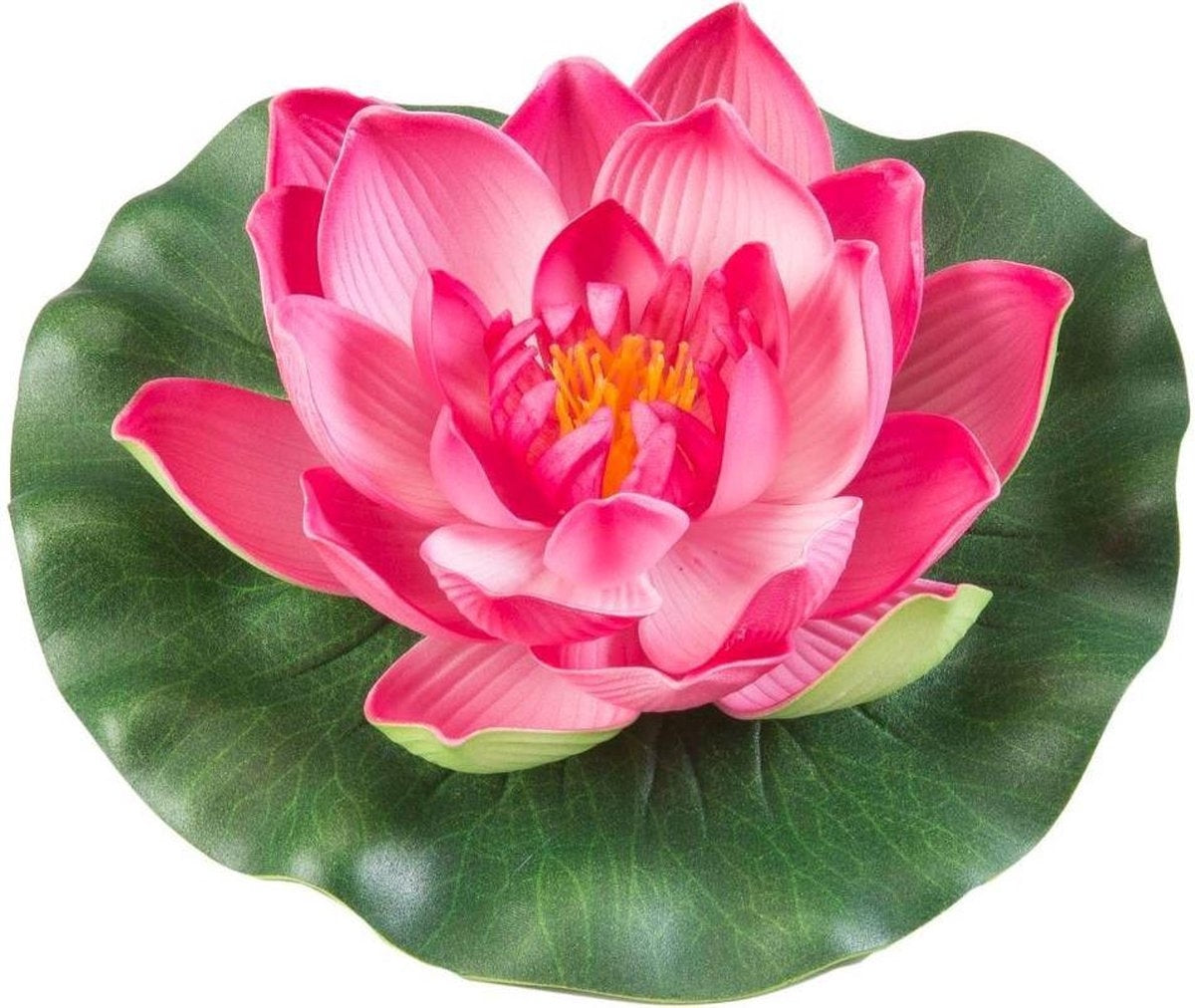 Velda Drijvende Vijverplant Lotus Fuchsia 17 cm