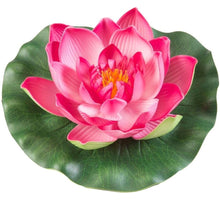Velda Drijvende Vijverplant Lotus Fuchsia 17 cm