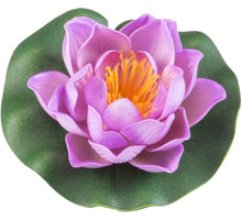 Velda Drijvende Vijverplant Lotus Roze 10 cm