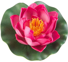 Velda Drijvende Vijverplant Lotus Fuchsia 10 cm