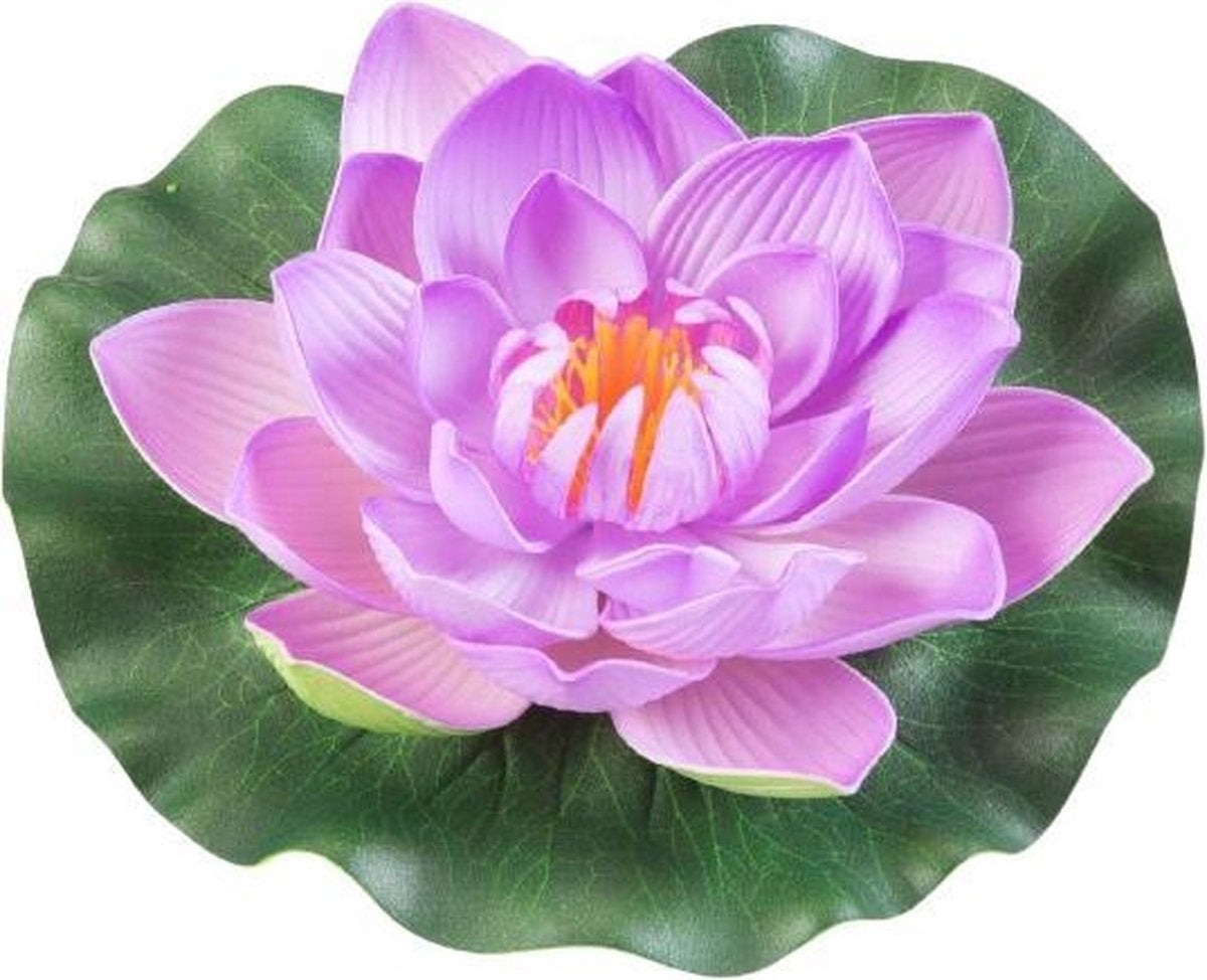Velda Drijvende Vijverplant Lotus Roze 17 cm