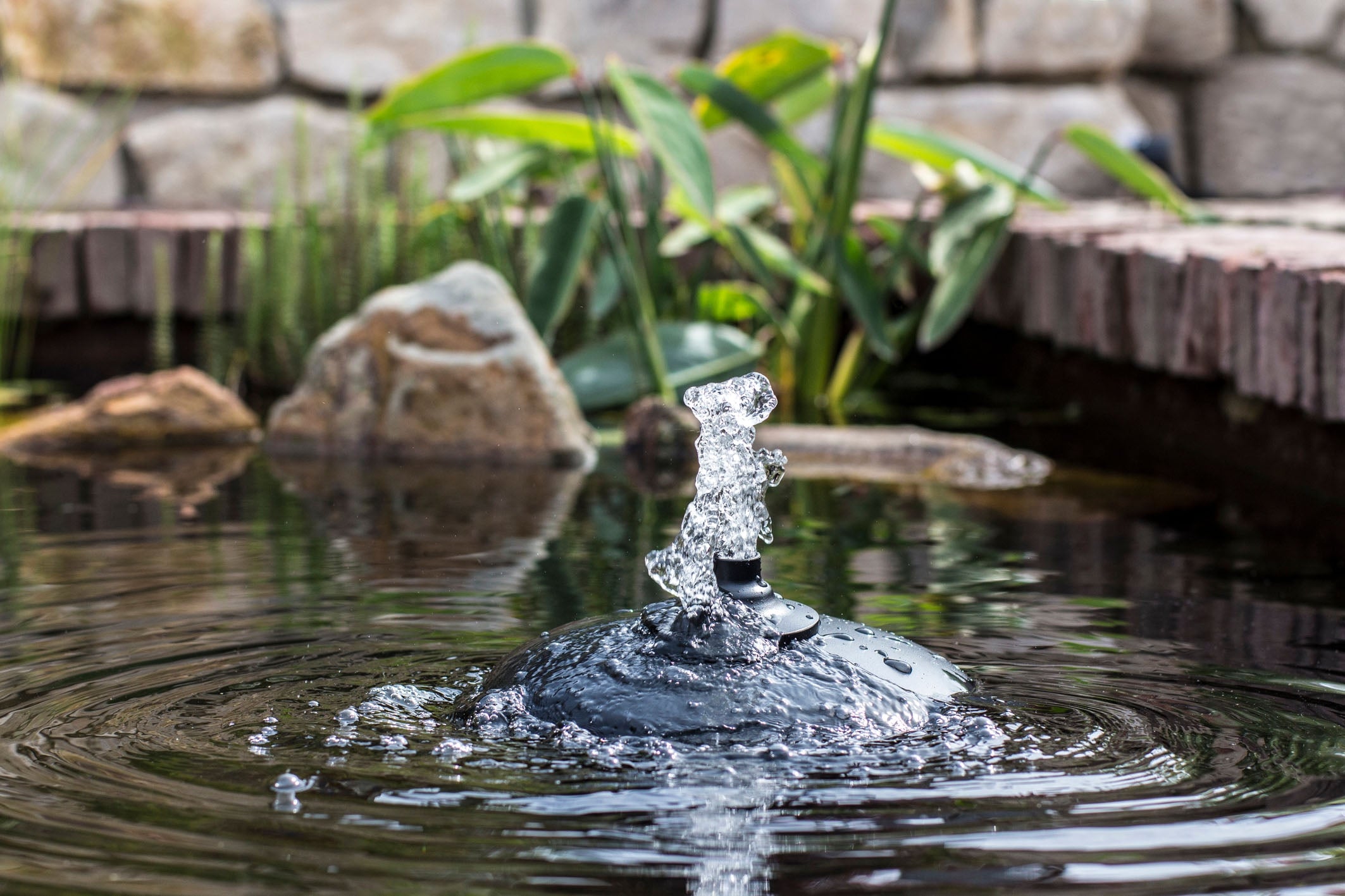 126463-floating_combi_filter_in_pond_1