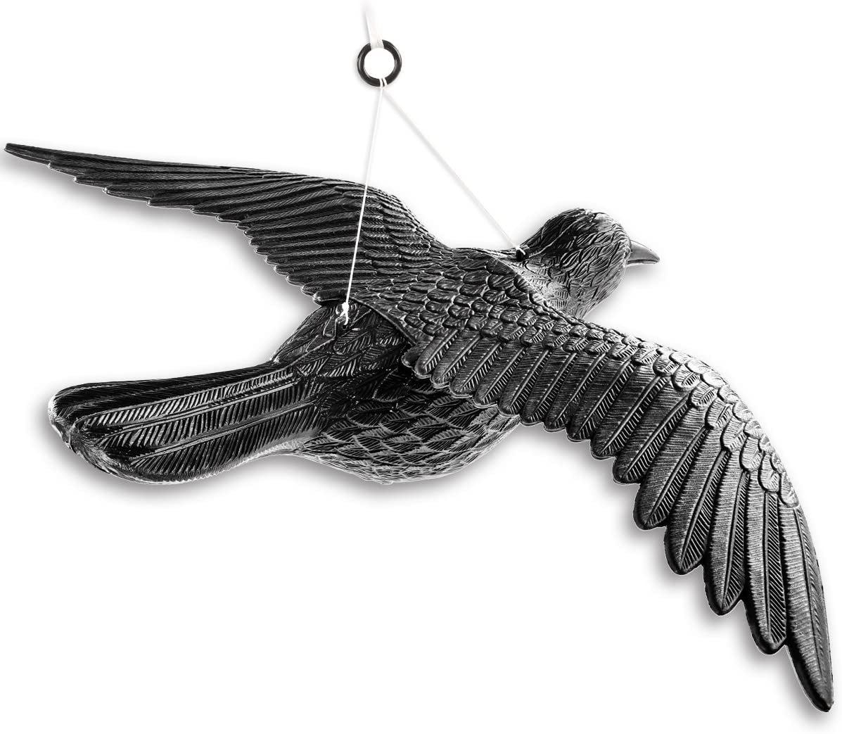 71hsdrgtzjl._ac_sl1200