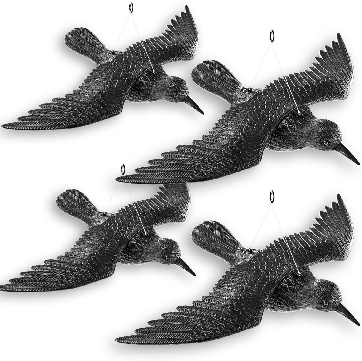 81t5sbzt1nl._ac_sl1200