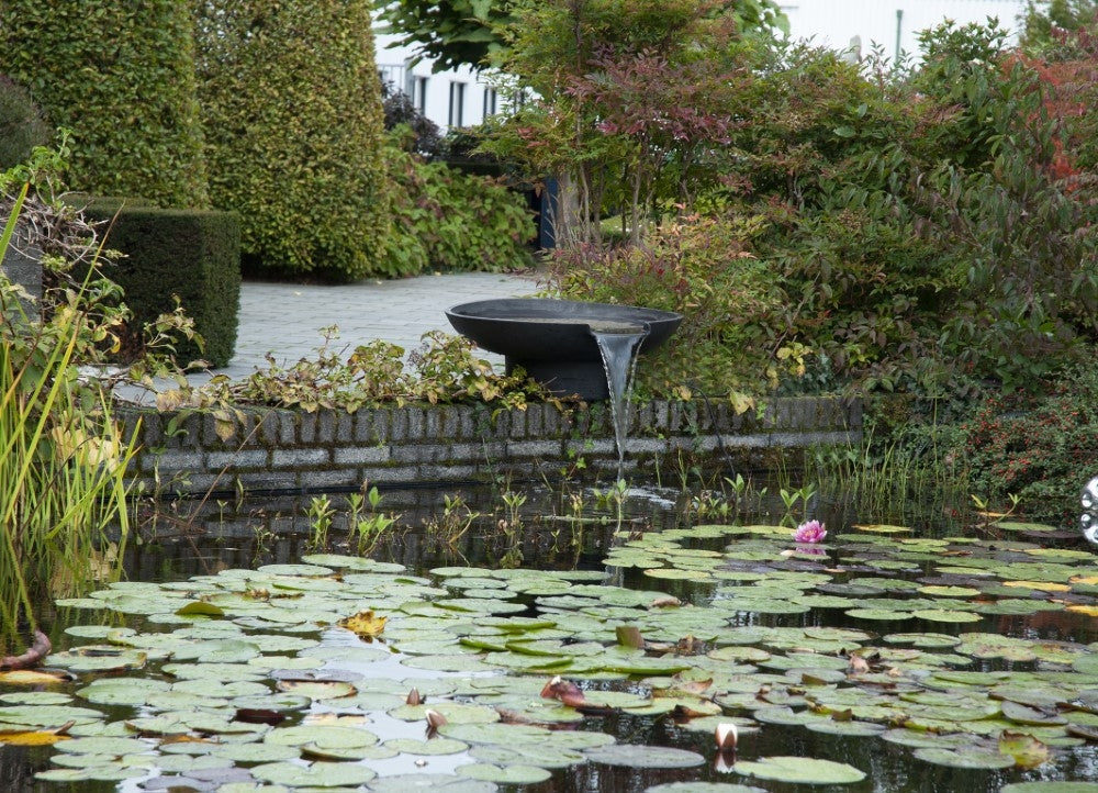 861253315e2feda2fd0efc32e4195ab6_1