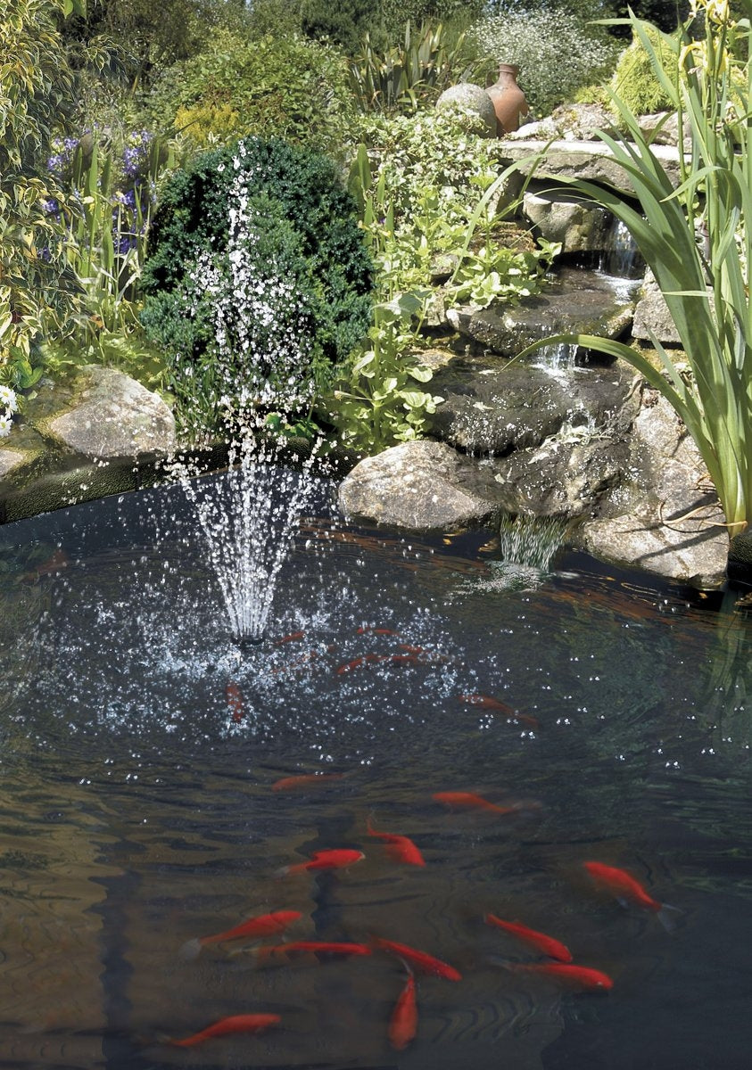 9200000038493956_1_1