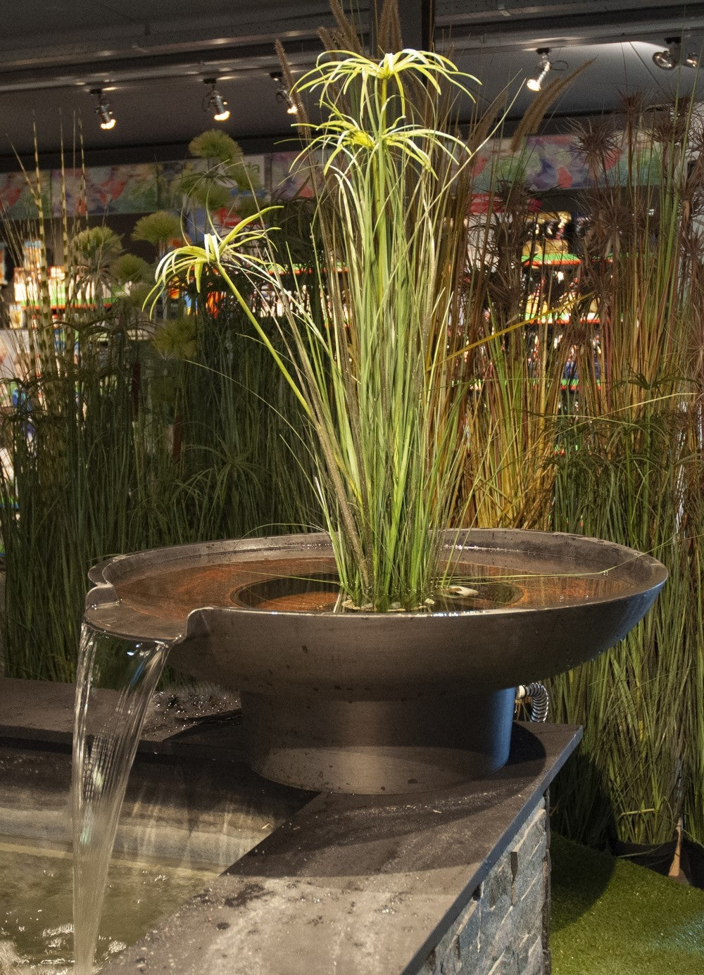 f660ba2c2d2675c16b69986e479e3ae9_1