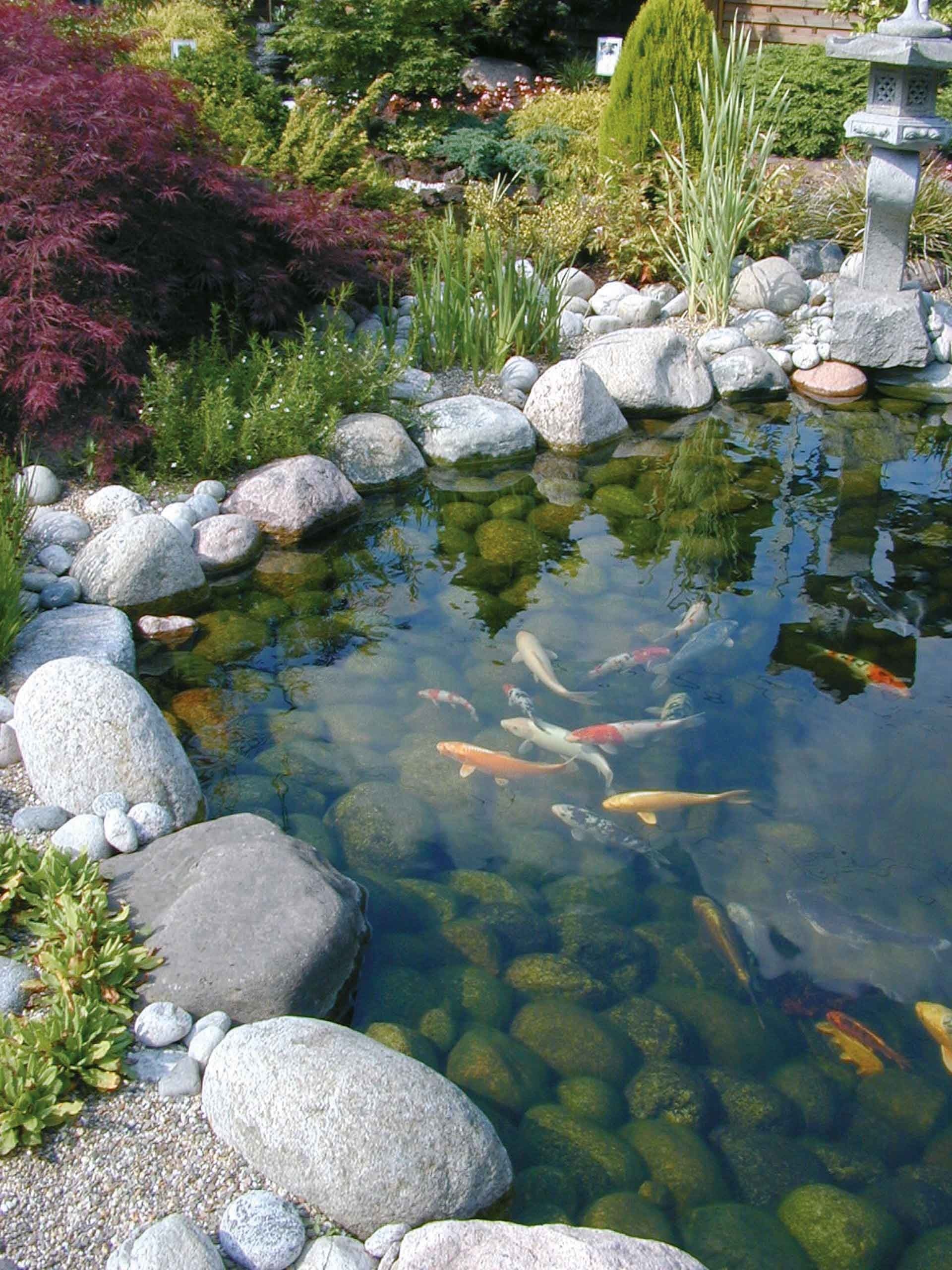 filtraclear-4500-basic-2