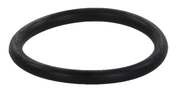 O-Ring für Quarzglas Aquaforte UV-Gerät