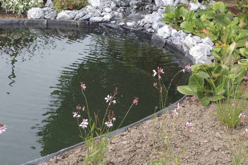 oase-pondegde-grondpennen-04