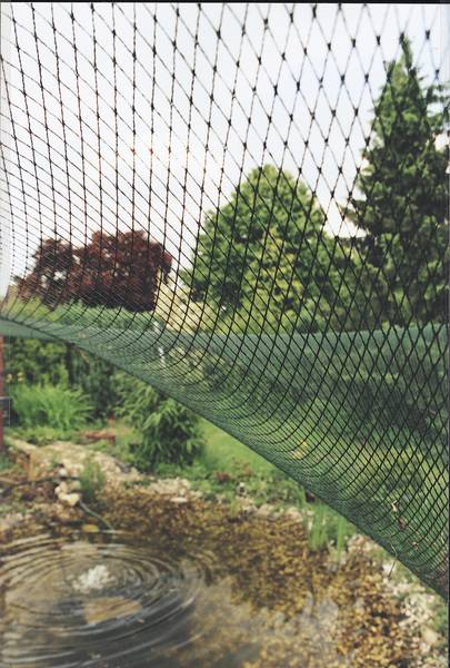 oase_20aquanet_20vijverafdeknet_202_20003