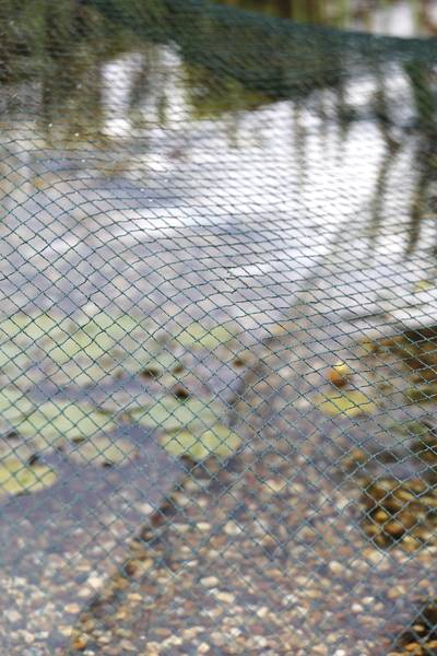 oase_20aquanet_20vijverafdeknet_203_20002