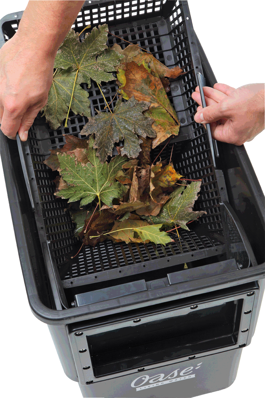 oase_20biosys_20skimmer_20_2006