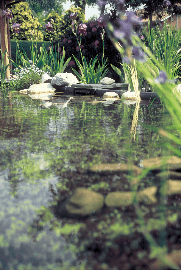 oase_20biosys_20skimmer_20_2007