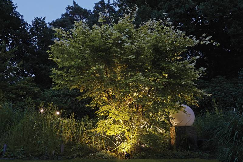 oase_20lunaqua_20power_20led_2005