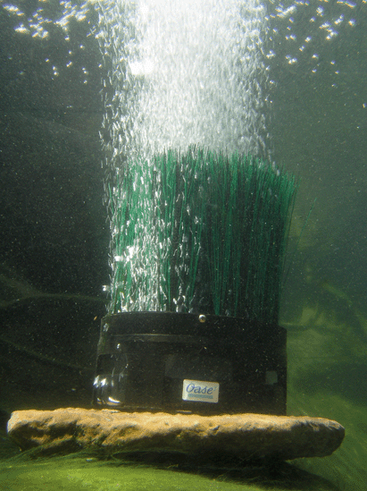 oase_20oxytex_201000_2002