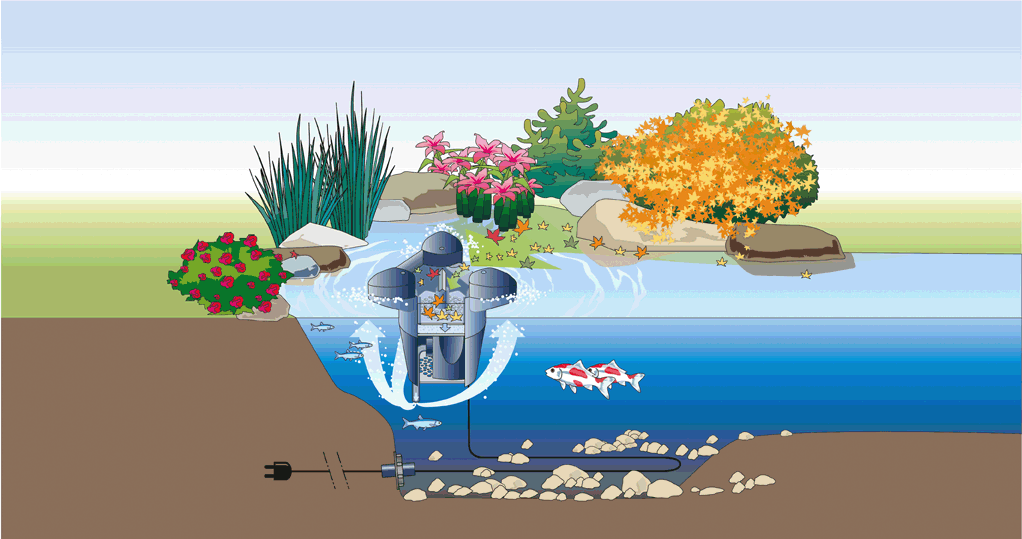 oase_20swimskim_2005