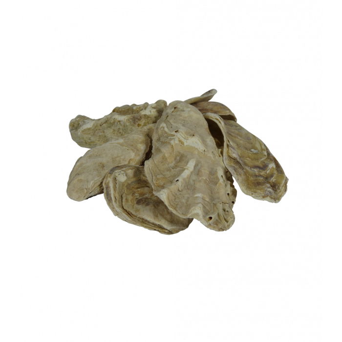 Oesterschelpen in zak