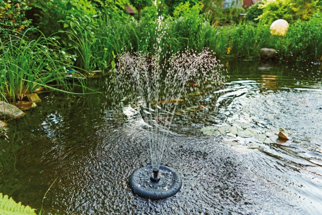 pondoclear_20island_203000