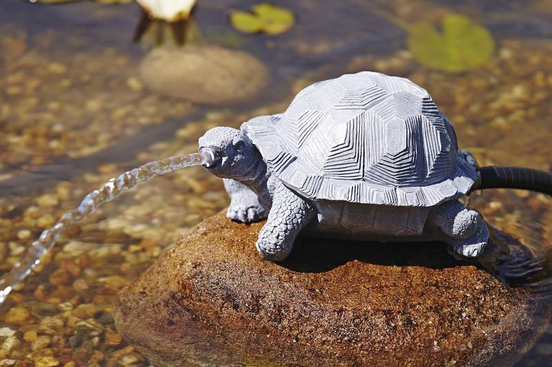 spuitfiguur-schildpad-36778-voorbeeld