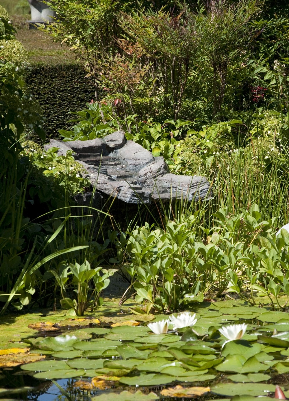 stream_at_the_pond-1_1