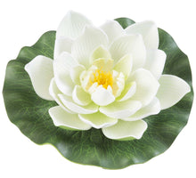 Velda Drijvende Vijverplant Lotus Wit 17 cm