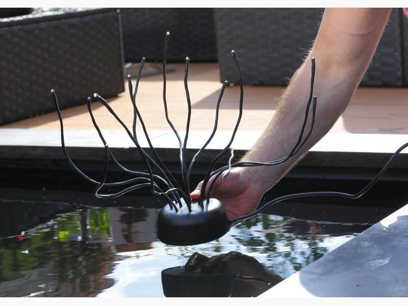 velda-welkin-pond-light-02