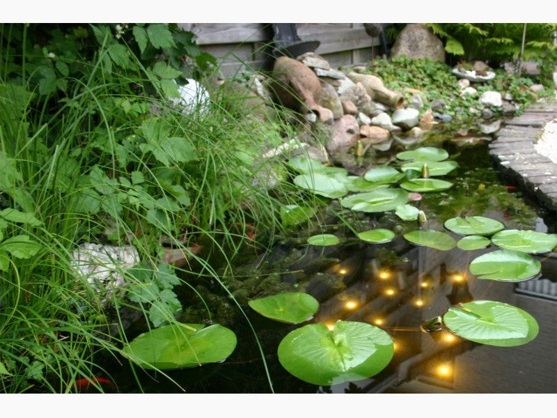 velda-welkin-pond-light-04