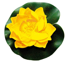 Velda Drijvende Vijverplant Lotus Geel 10 cm