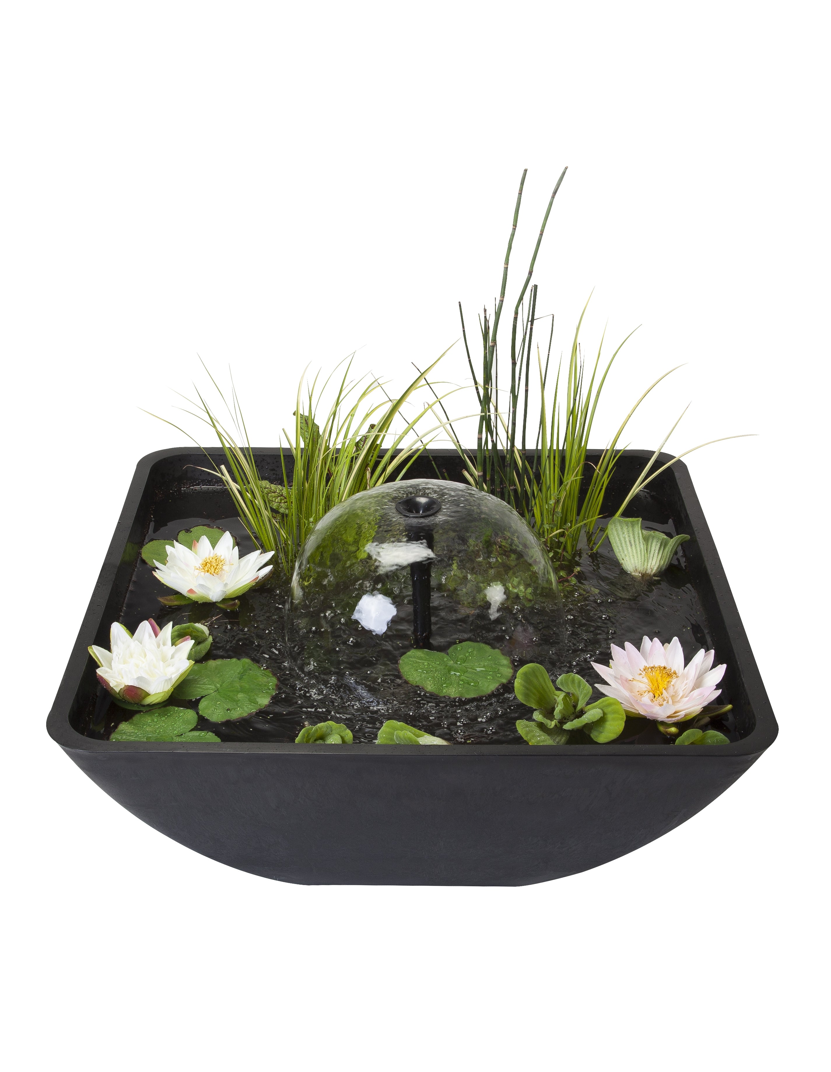 velda_terrasvijver_vierkant_large_2