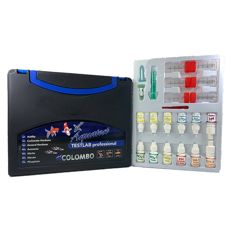 Colombo Testlabor-Experte